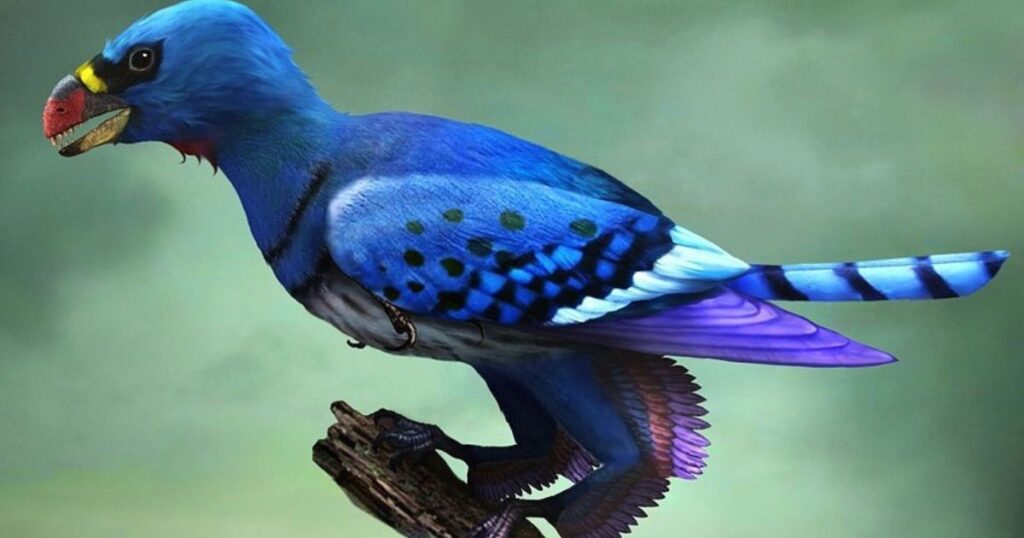 Difference between mammals and avians